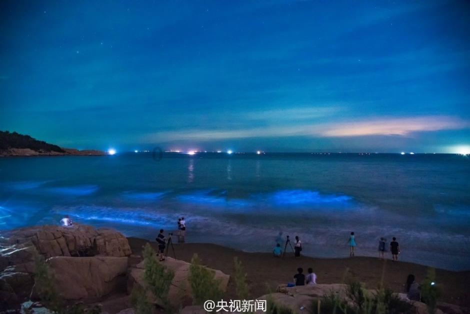 2024年9大腰部按摩器测评推荐：倍轻松、未野、蓝宝等测评细节！