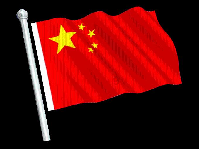 呆萌动物对对碰